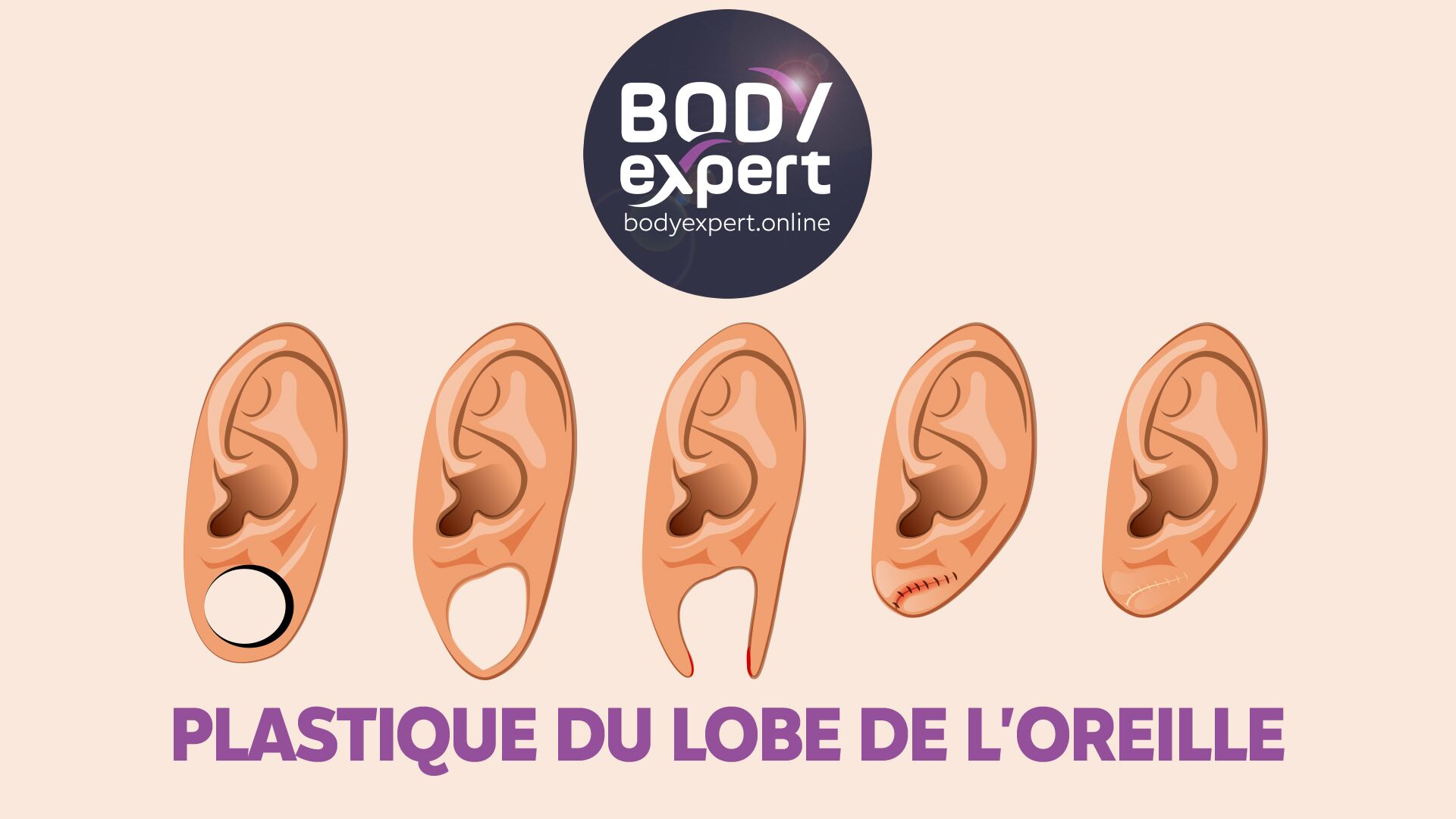 Têtière De Bride Circle L Saddle Company – Une Oreille – Cuir Marron – Taille L – USA